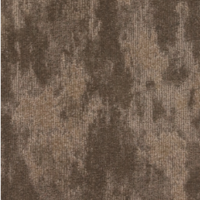 تامبا بني غامق - 03